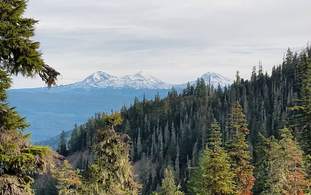 Conifer forest in the Cascade Range with volcanic peaks on the horizon