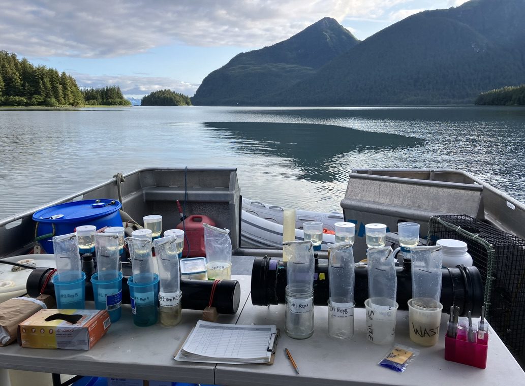Environmental DNA water samples and filtering gear set out on a skiff, with a forested fjord and mountains behind